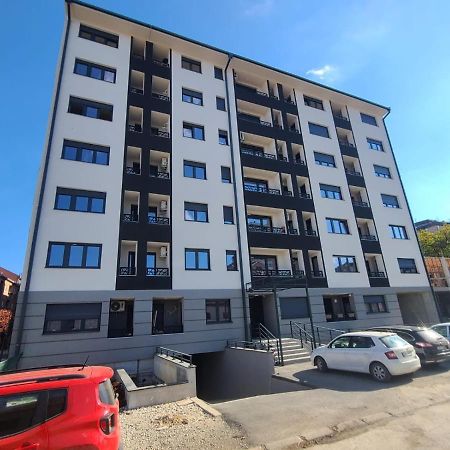 Stan Na Dan Krsmanovic Apartment Čačak Exterior foto